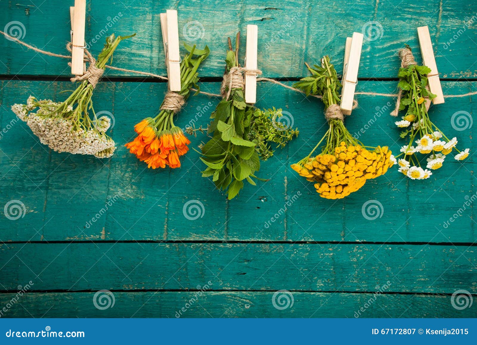 summer fresh medicinal herbs on the wooden background.