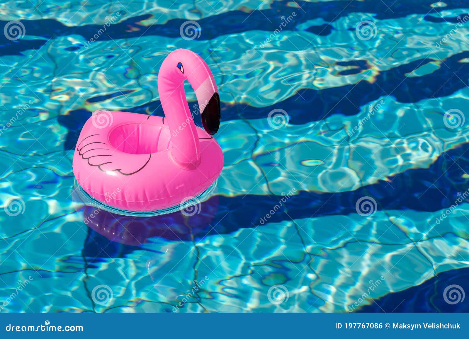 Con chim phượng hoàng hồng bơi lội trên bãi biển xanh ngắt, tạo nên một cảnh tượng vô cùng đáng yêu. Xem hình ảnh này để cảm nhận sự dễ thương và hài hước của con chim phượng hoàng hồng.