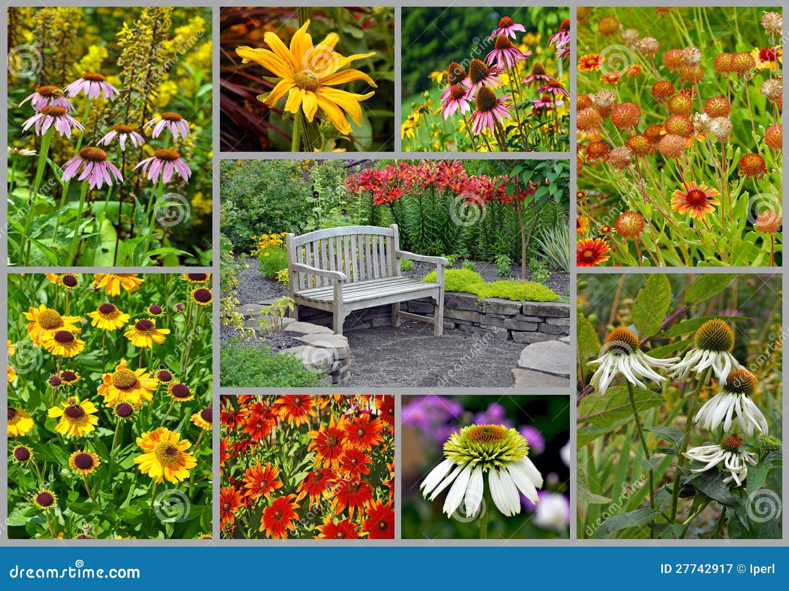 Summer garden collage stock image. Image of garden, summer - 27742917