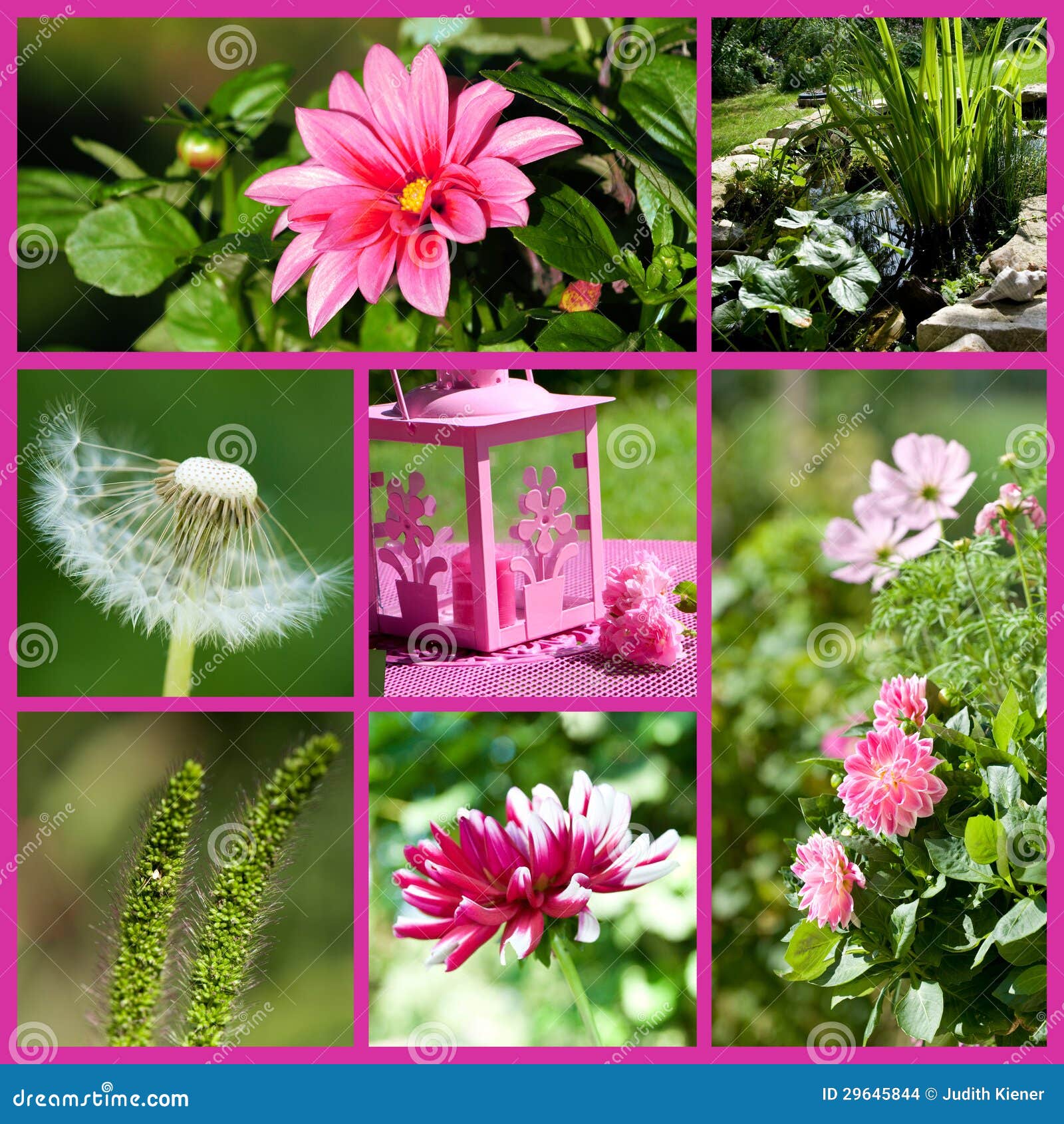 Summer garden collage stock photo. Image of orange, flower - 29645844