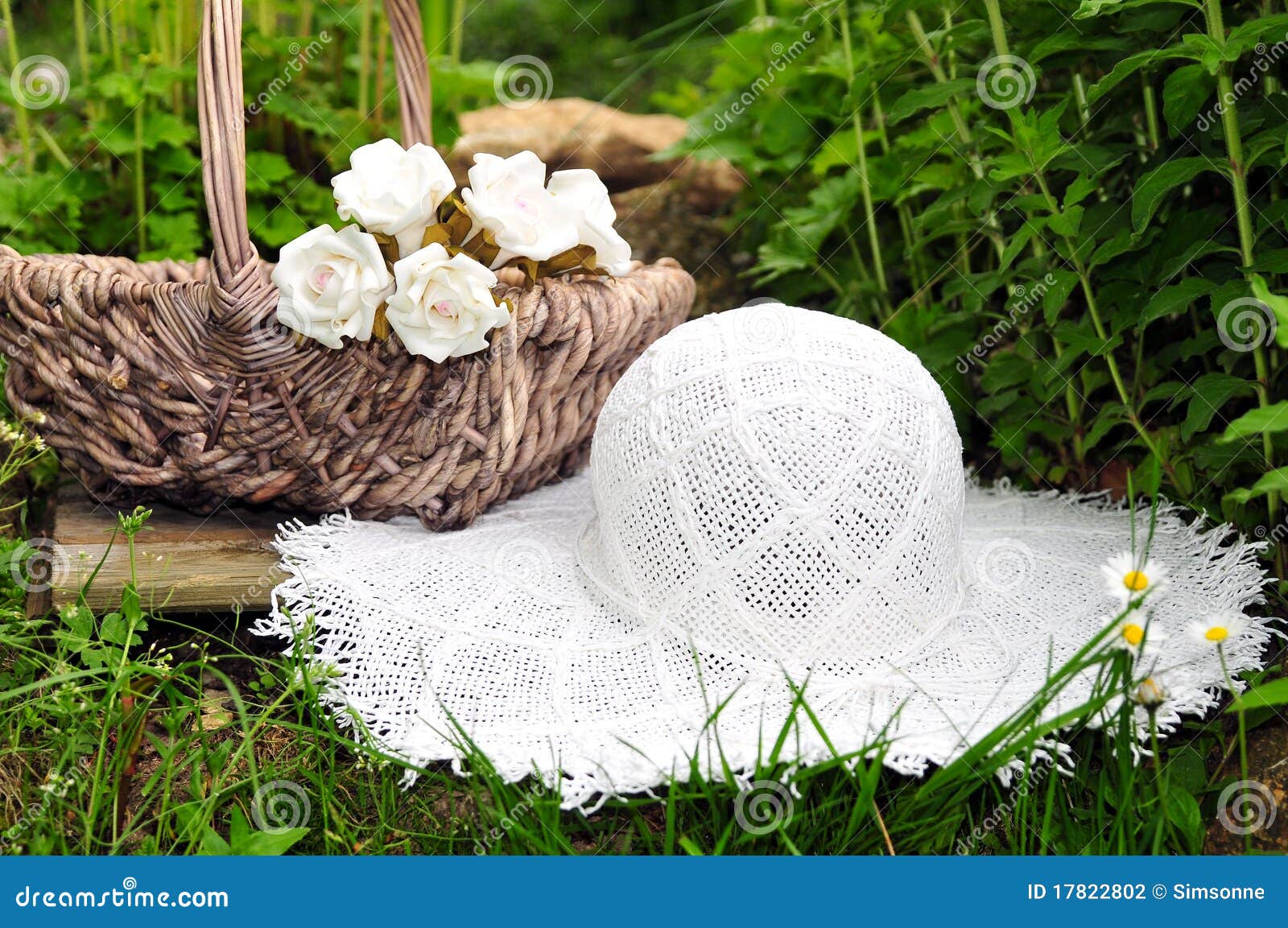 Summer Garden hat Flower stock photo. Image of flowers 17822802