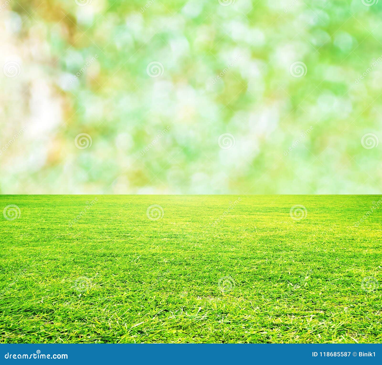 Natural green grass background Royalty Free Vector Image