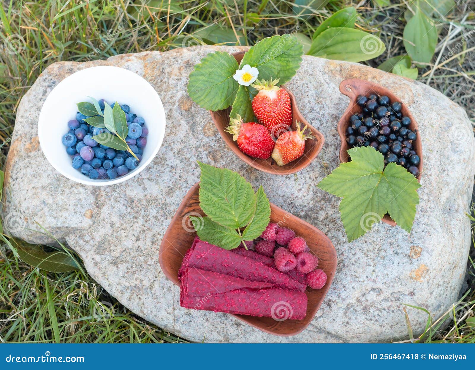 Summer Harvest of Berries from Your Garden Stock Photo Image of juicy