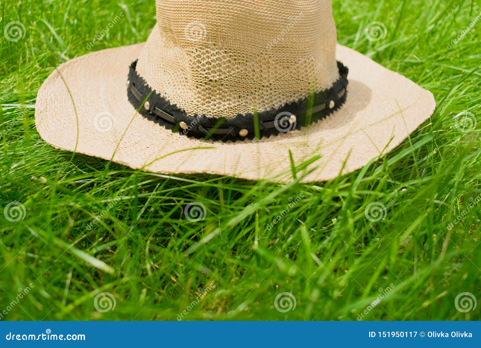 Summer Hat from the Sun Lying on the Grass. Stock Image - Image of ...