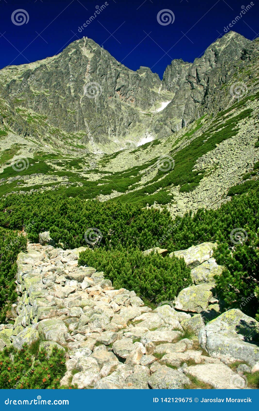 summer in high tatras mountains. lomnicky peak