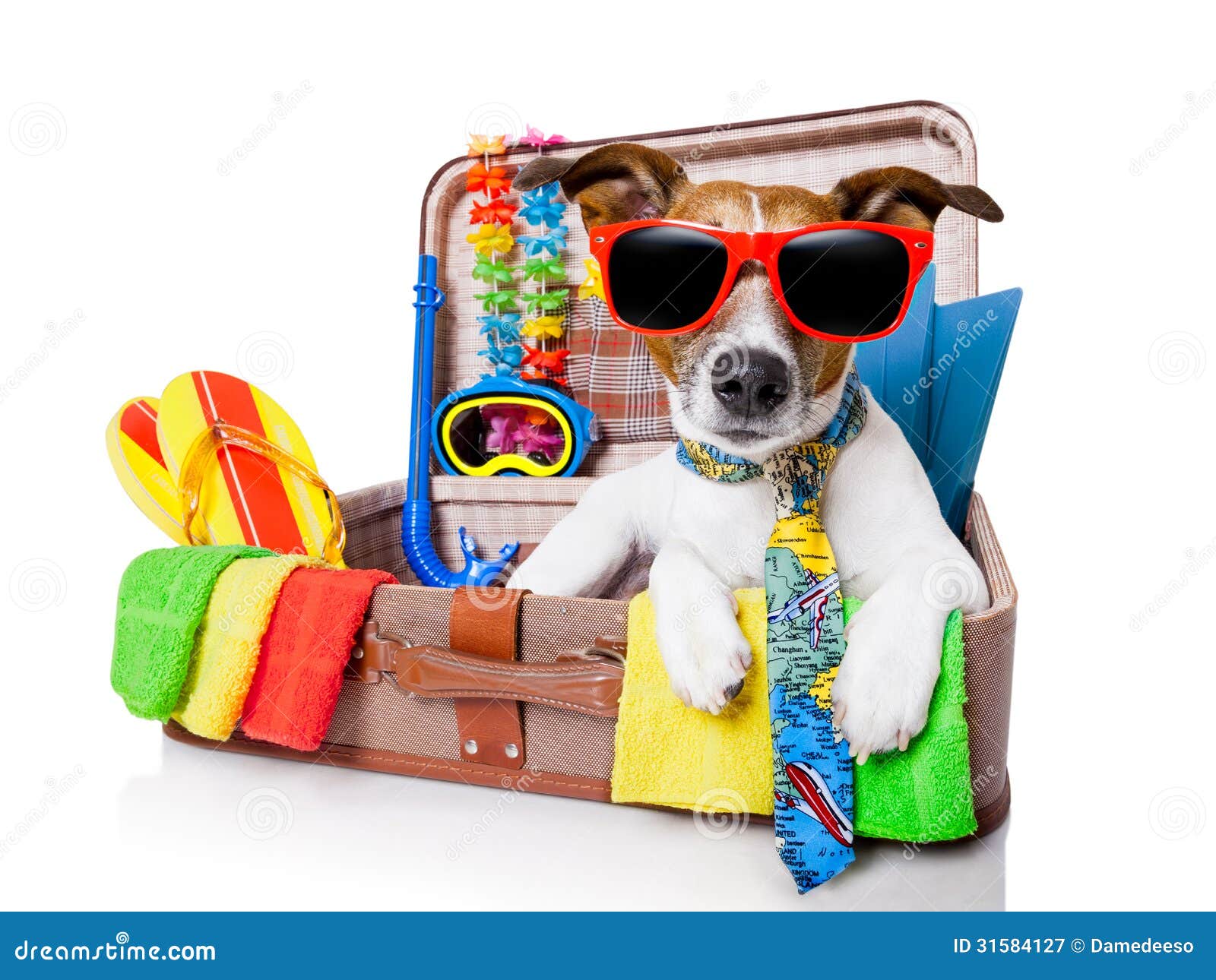 Summer Holiday Dog Royalty Free Stock Photography - Image: 31584127