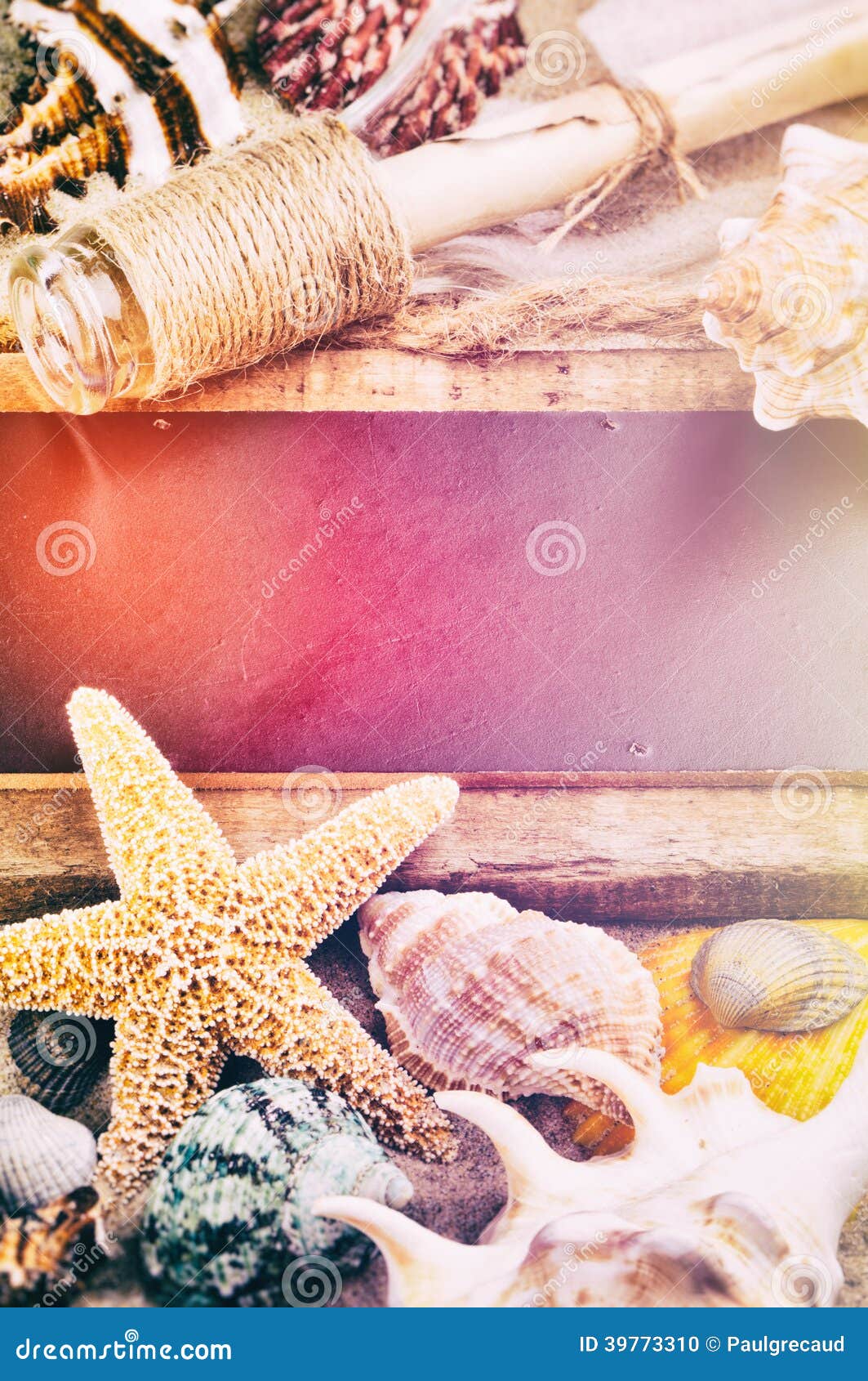 Summer Holiday Frame with Sea Shells Stock Photo Image of coastline, background 39773310