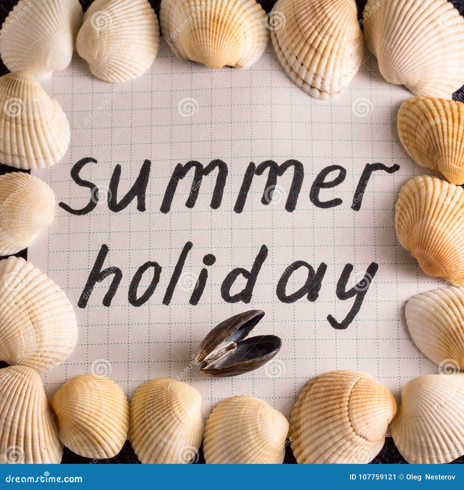 Summer Holiday Inscription in a Frame Lined with Sea Shells Stock Image Image of english