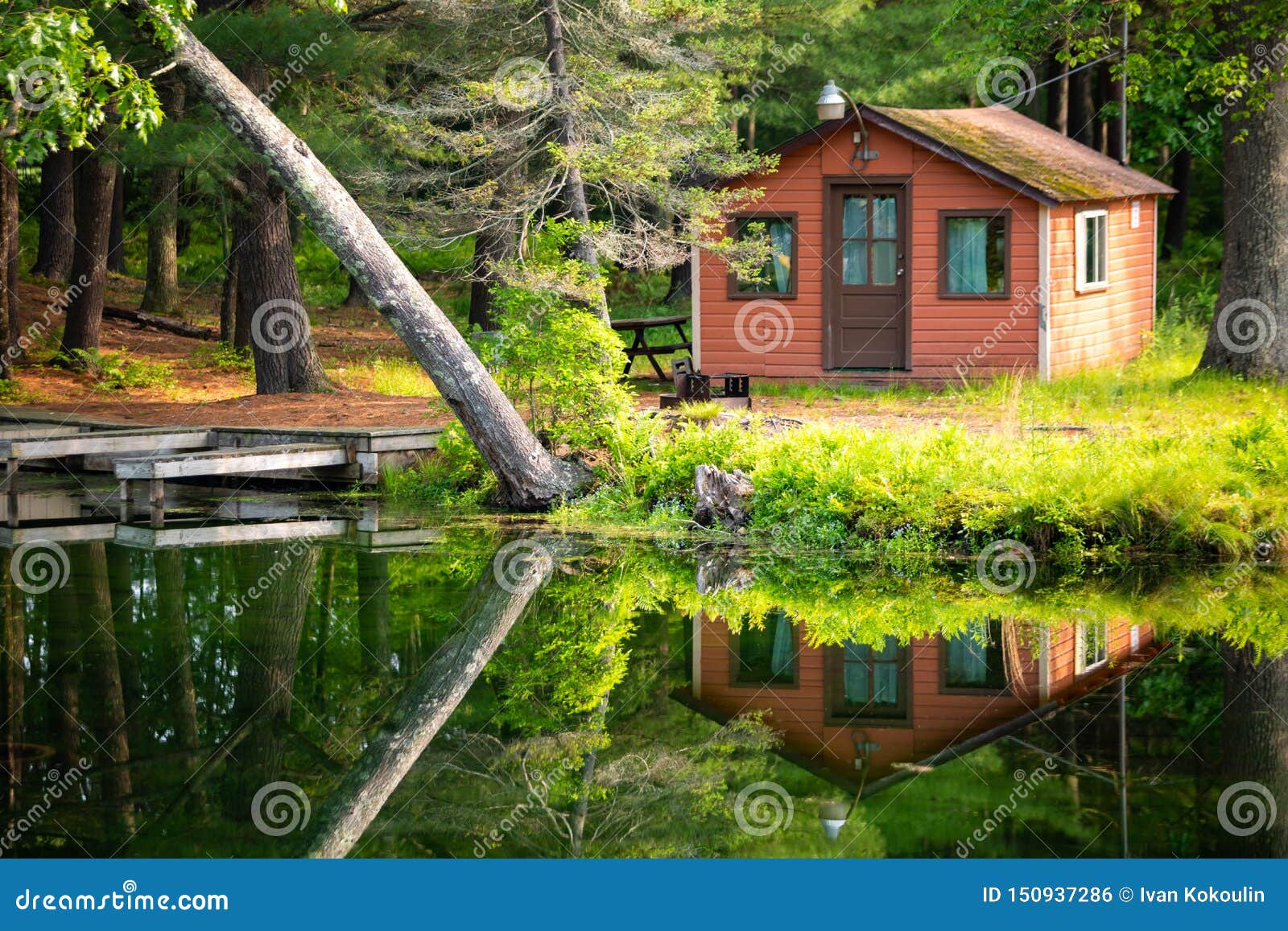Summer Home Cabin in the Woods at the Lake Stock Photo Image of lake