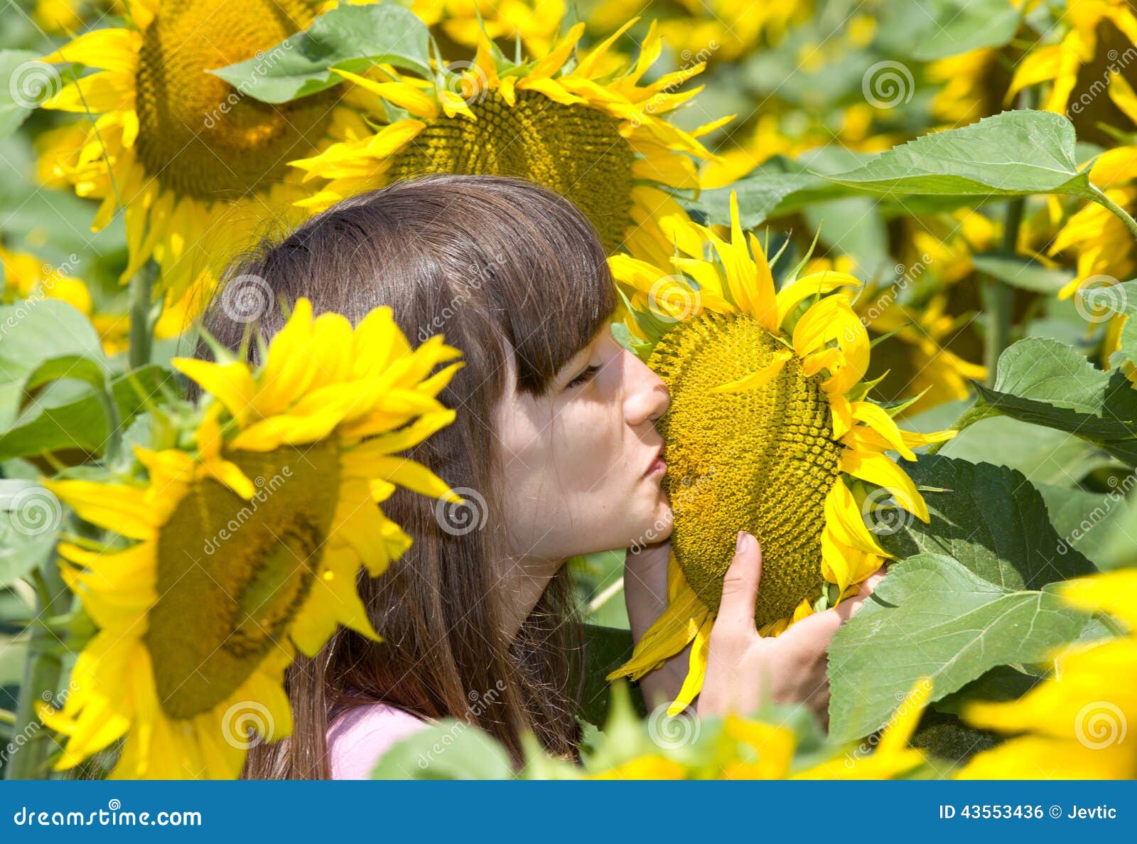 Summer kiss stock photo. Image of field, bright, nature - 43553436