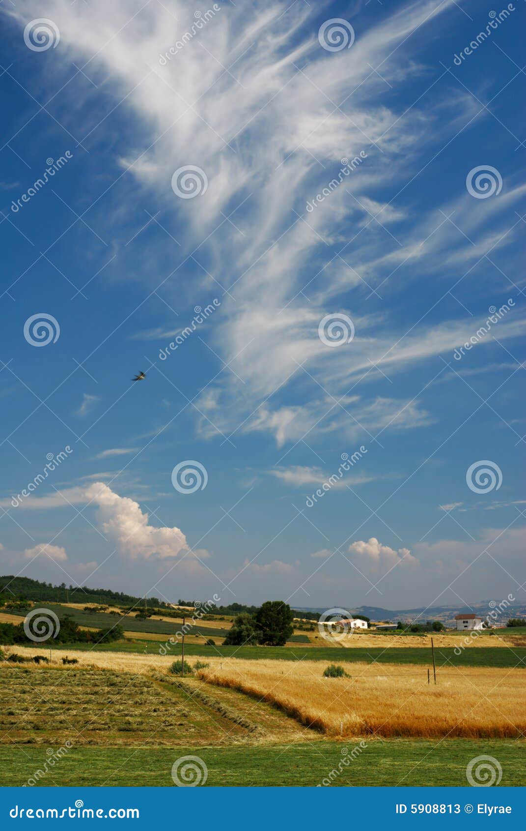 summer landscape photos summer landscape photos