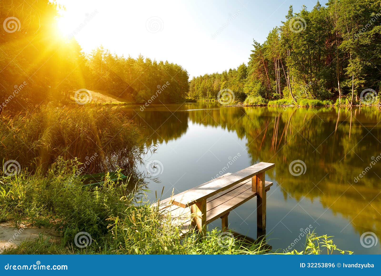 summer landscape with forest lake