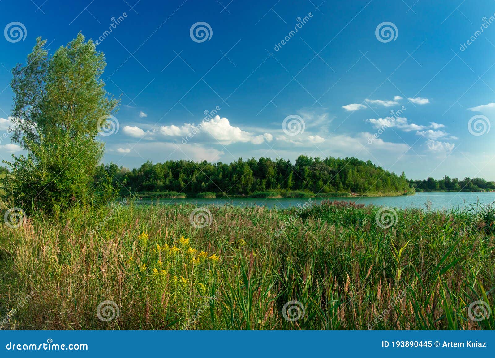 Summer Landscape Green Grass Field Tree And Lake Nature Outdoor