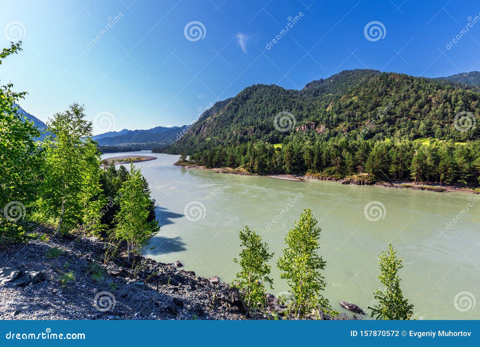 Summer Landscape With Katun River Chemal Gorny Altai Siberia Russia