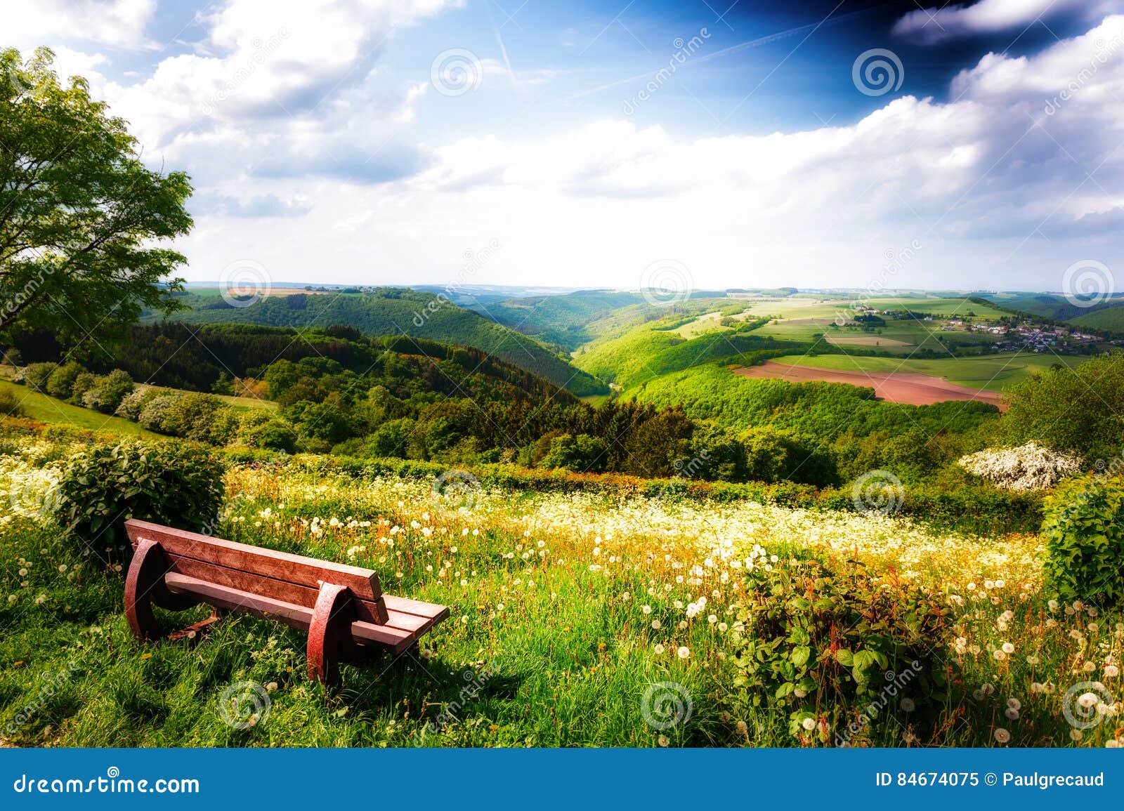 summer landscape with lonely wooden bench