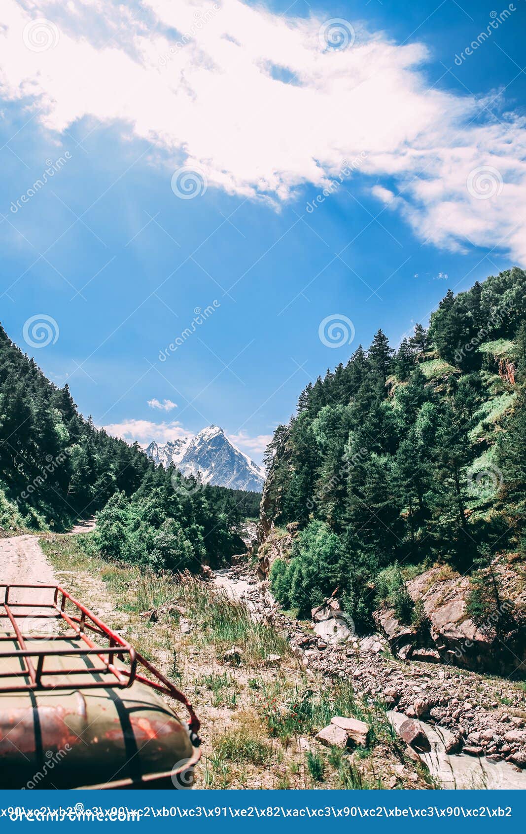 summer landscape in the mountain with forest