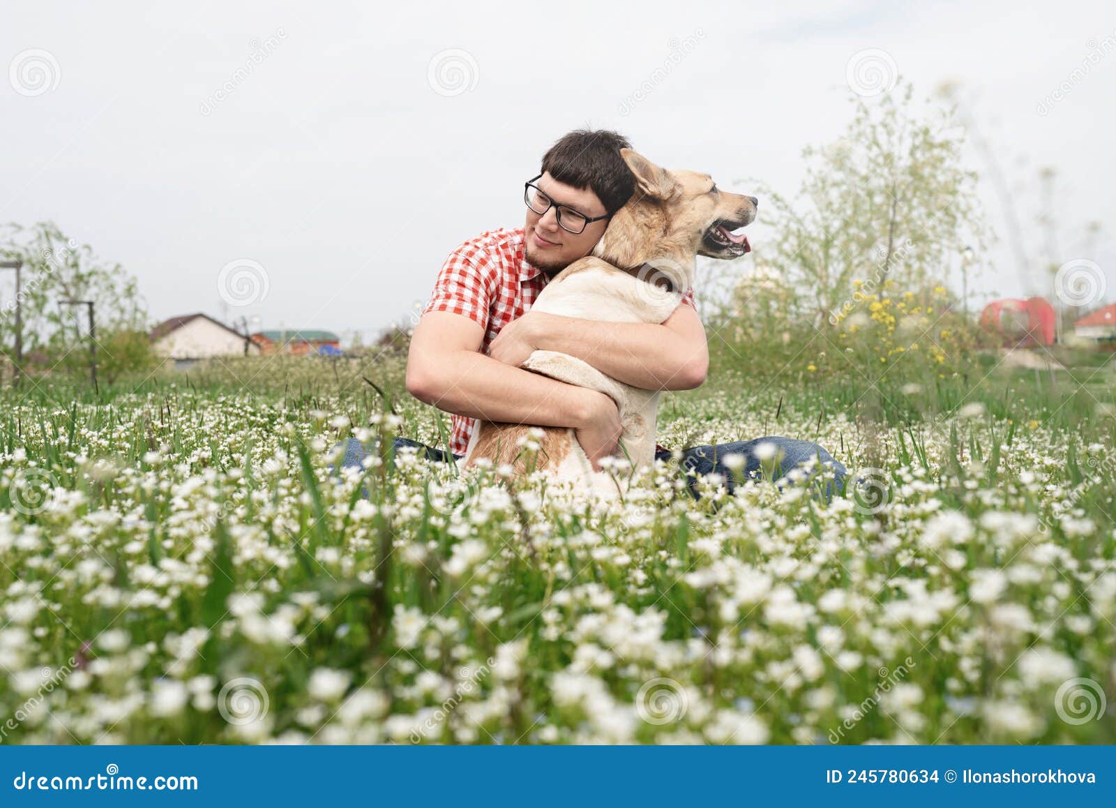 Happy Man Sitting with Mixed Breed Shepherd Dog on Green ...