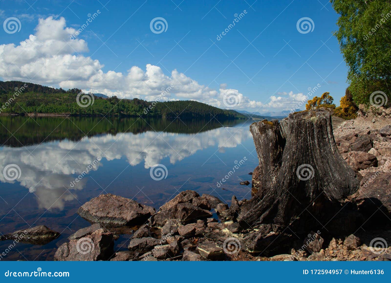 Old Tree Stump on Edge of Tranquil Loch Garry, Scotland during a Summer ...