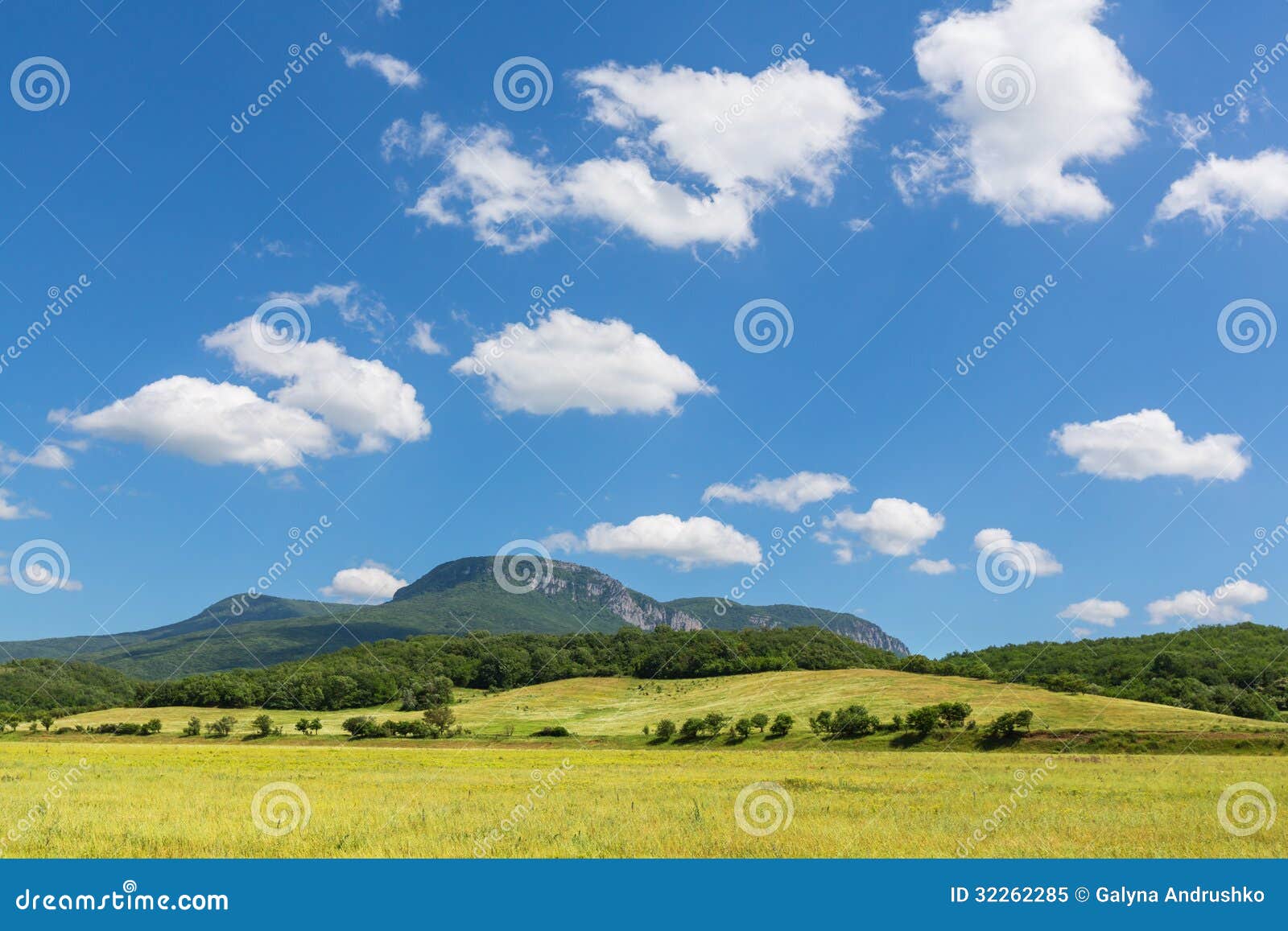 Summer meadow in Crimean mountains
