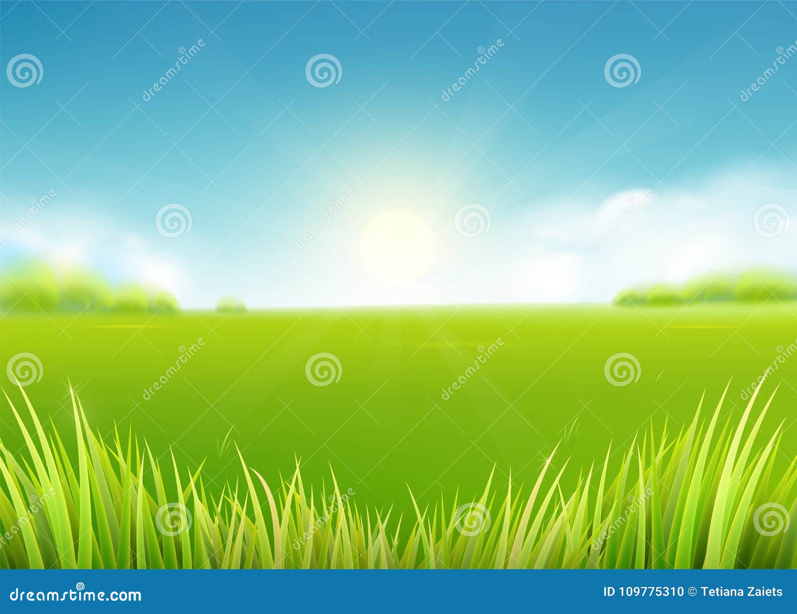 summer meadow field. nature background with sun, sunny rays, grass landscape