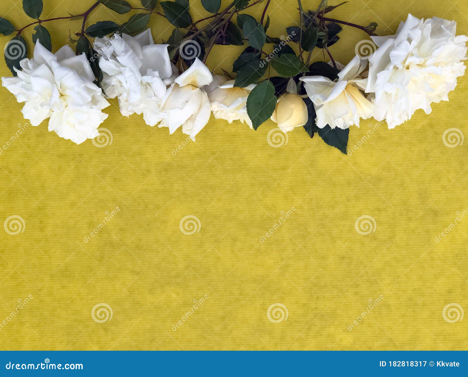 Download Summer Mockup. Bouquet Of White Bush Roses On Yellow Background. Wedding Concept Stock Image ...