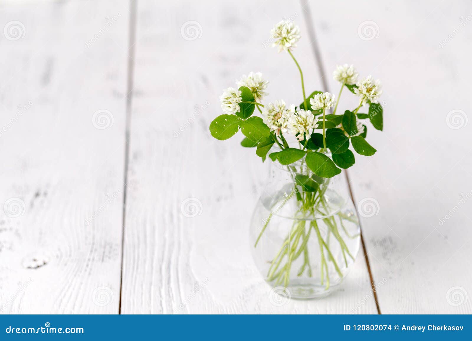 summer mood with white clover on wooden table