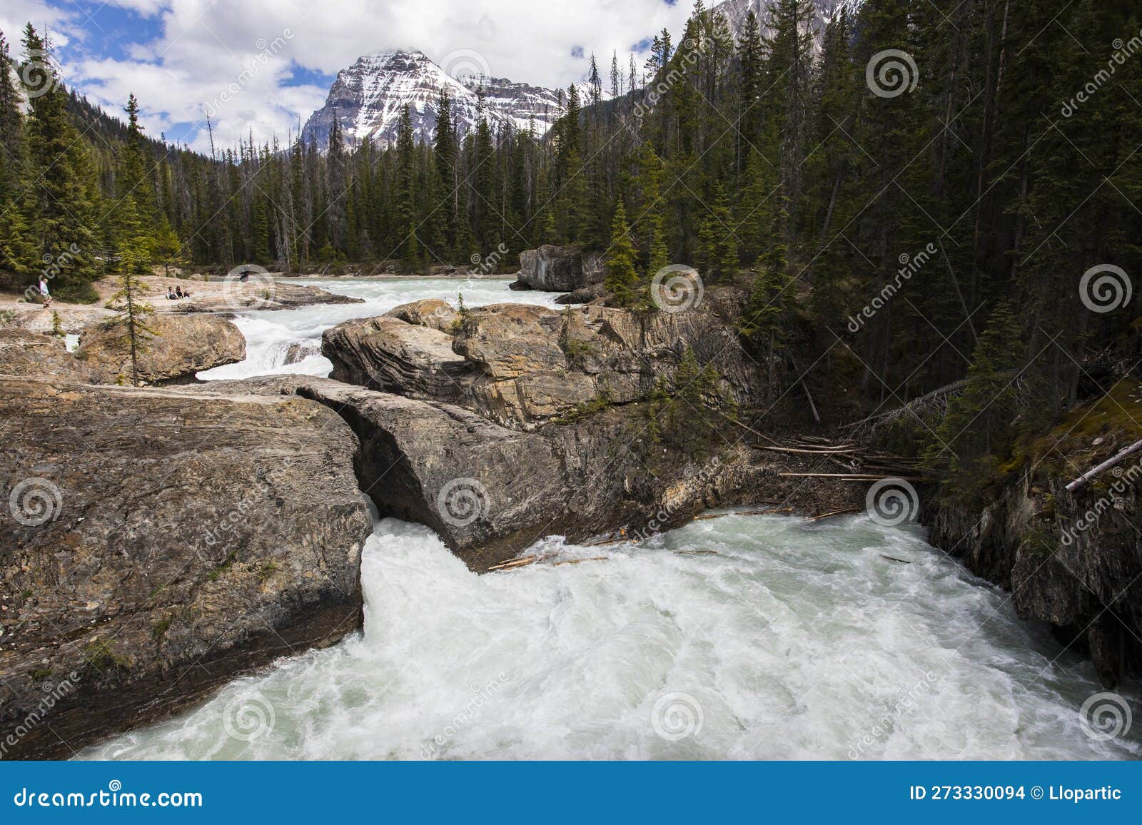 Summer in Natural Bridge, Yoho National Park, Canada Stock Photo