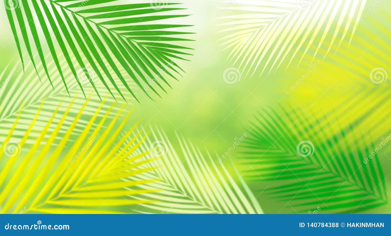 127,655 Coconut Leaf Stock Photos - Free & Royalty-Free Stock Photos from  Dreamstime