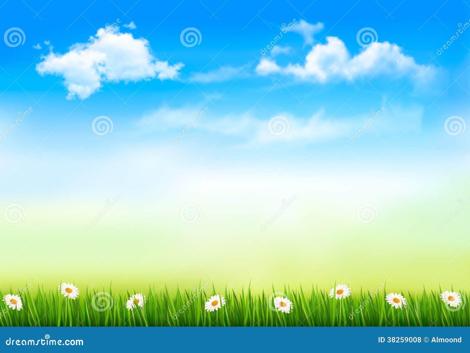 Summer Nature Background with Green Grass and Sky Stock Vector -  Illustration of green, color: 38259008