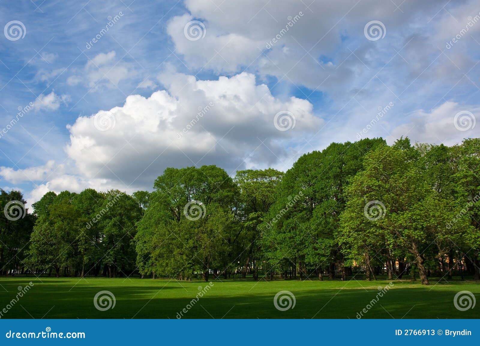 Summer park stock image. Image of foliage, natural, blue - 2766913