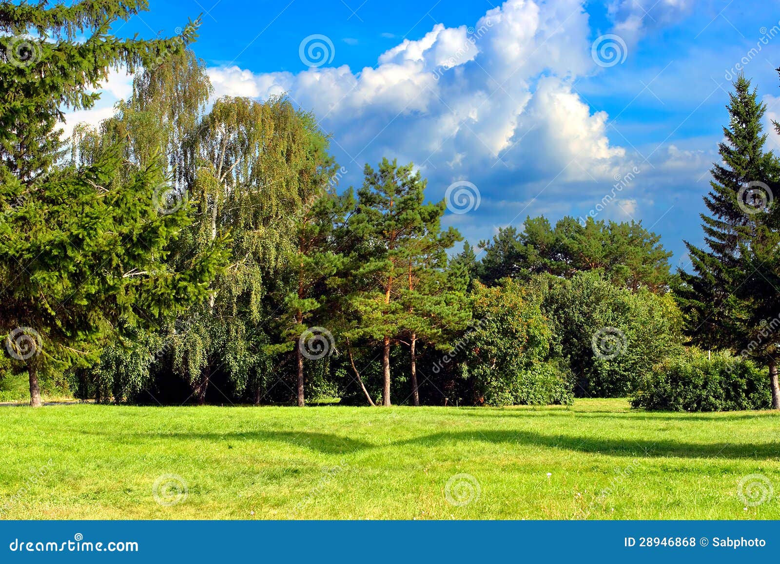 Summer Park Landscape stock photo. Image of space, environment 28946868