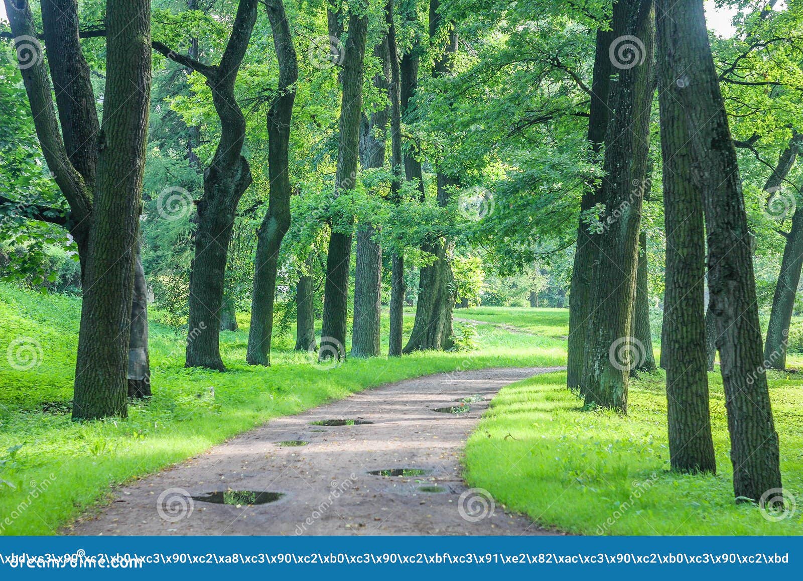 Summer park landscape stock image. Image of peaceful 75021337