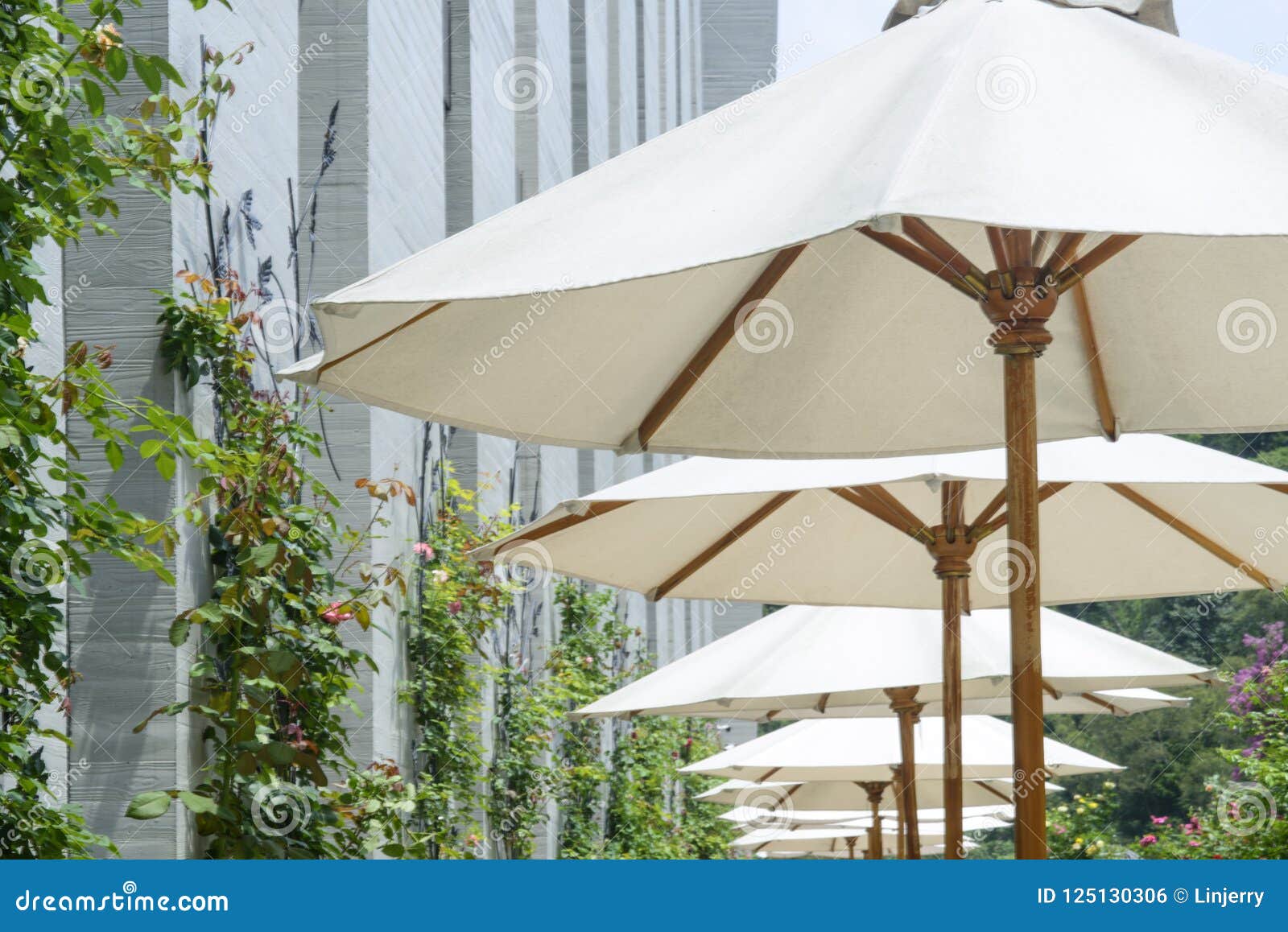 Â Cafe Tables And Chairs Outside With Big White Umbrella Stock Photo