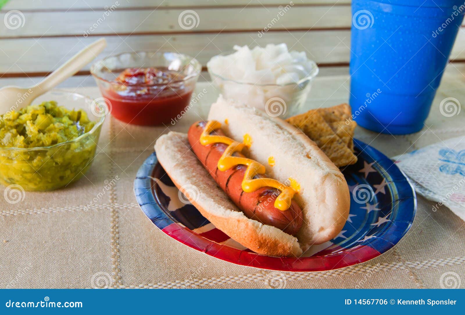 Summer picnic hot dog stock photo. Image of ketchup, paper 14567706