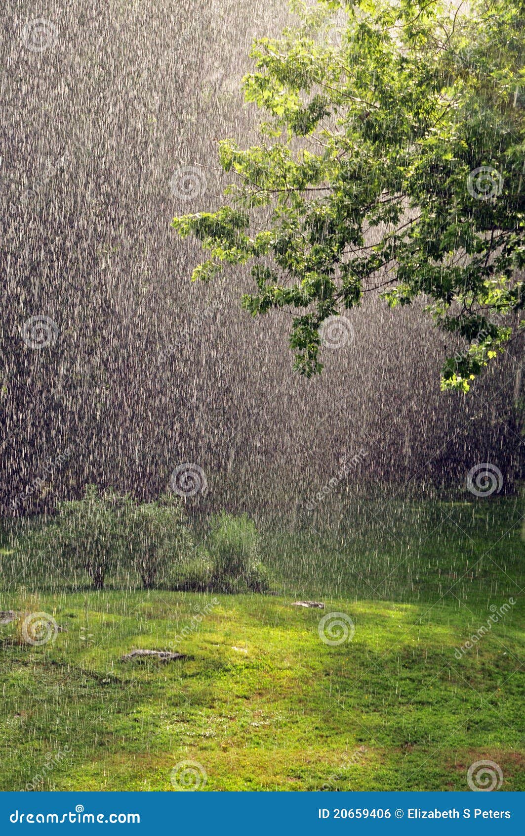 Summer Rain stock photo. Image of sunlight, drizzle, storm 20659406
