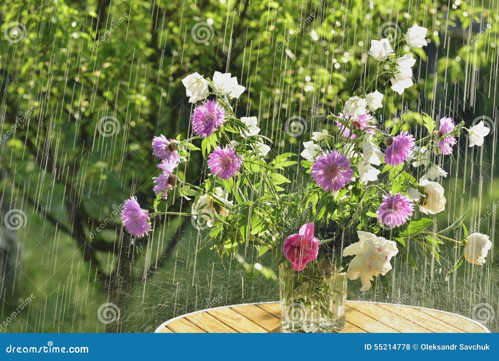 Summer rain and flowers stock photo. Image of nature 55214778