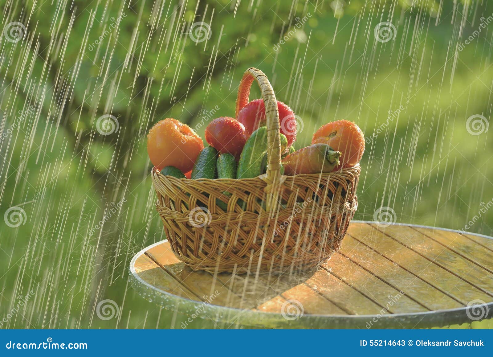 Summer rain and vegetables stock image. Image of rays 55214643