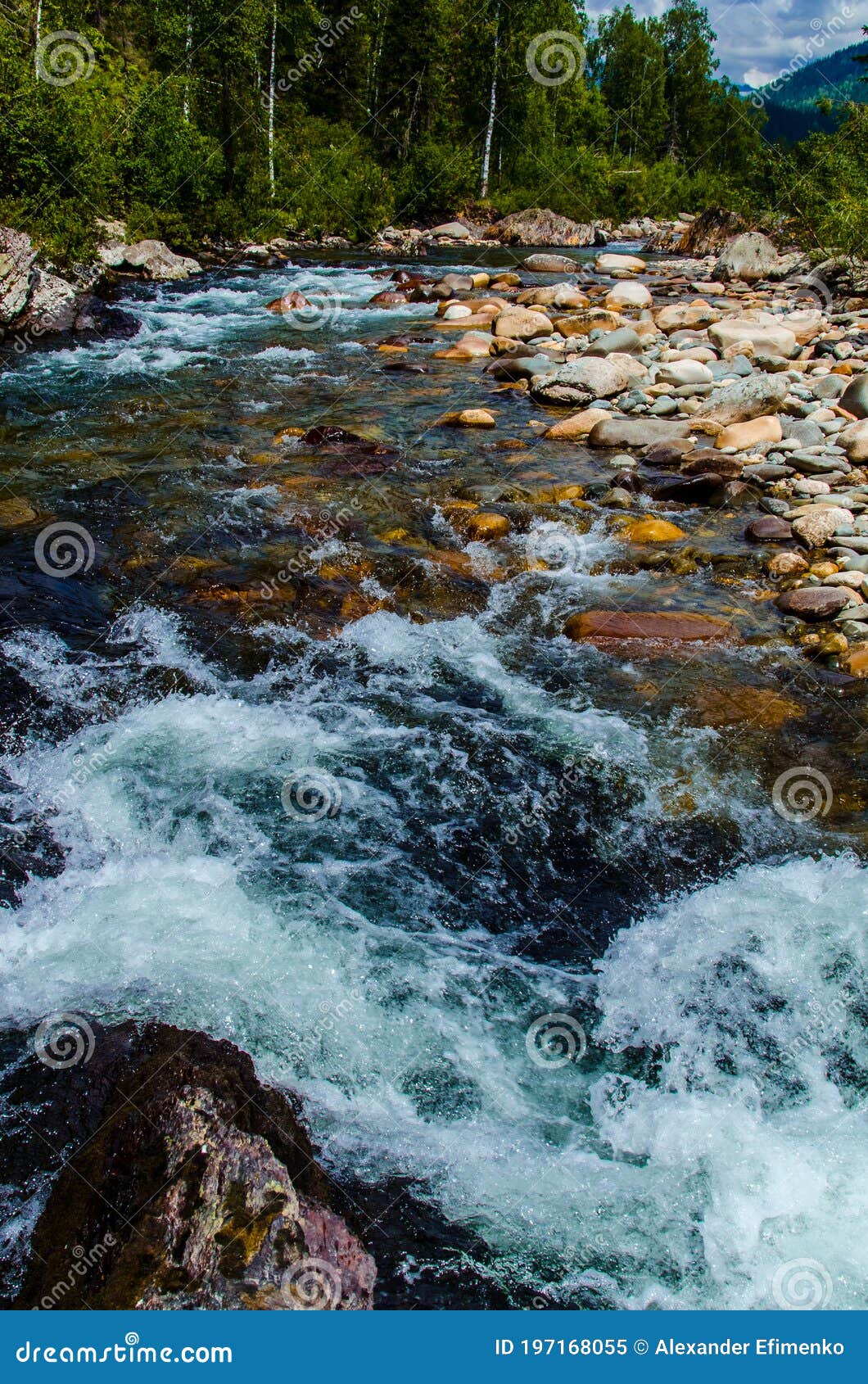 In Summer Rocky Mountain River Water Silk Mountain River Stock Image