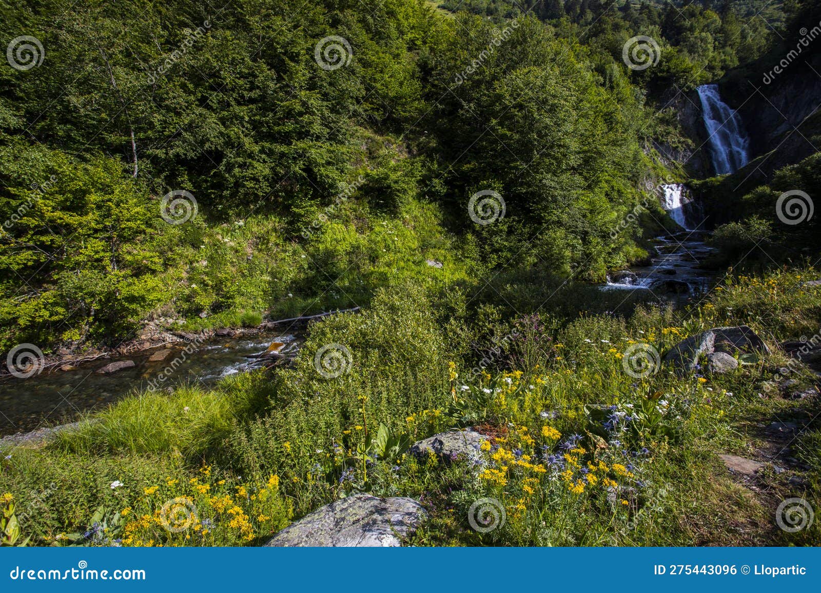 summer in sauth deth pish waterfall, val d aran, spain