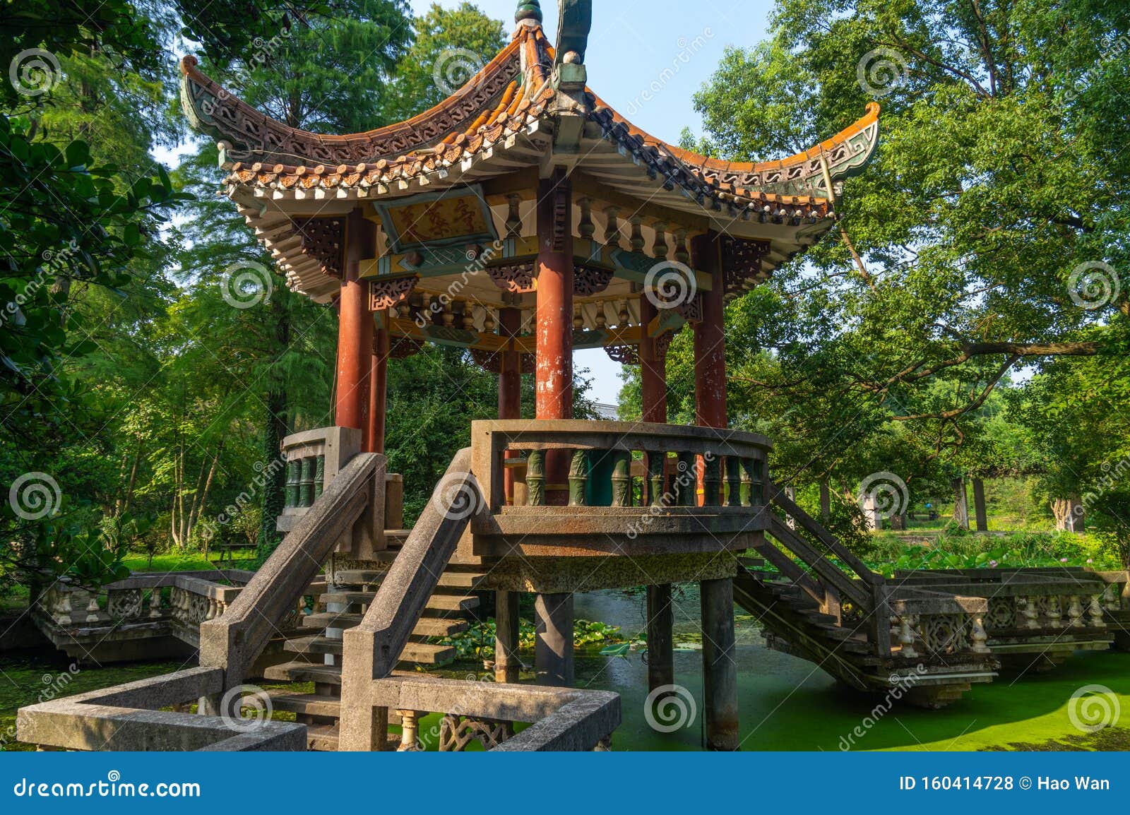 summer scenery of wuhan botanical garden