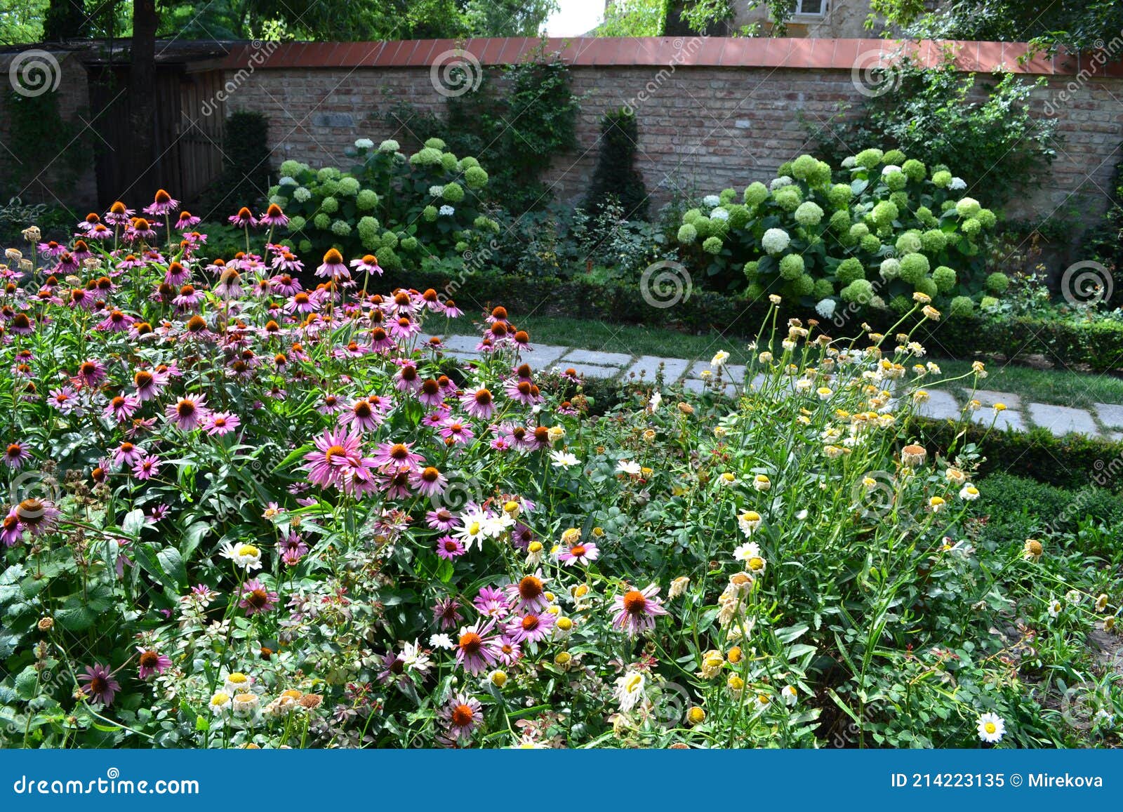 cottage summer perennials garden in schlosshof austria professionally planted with groups of perennials