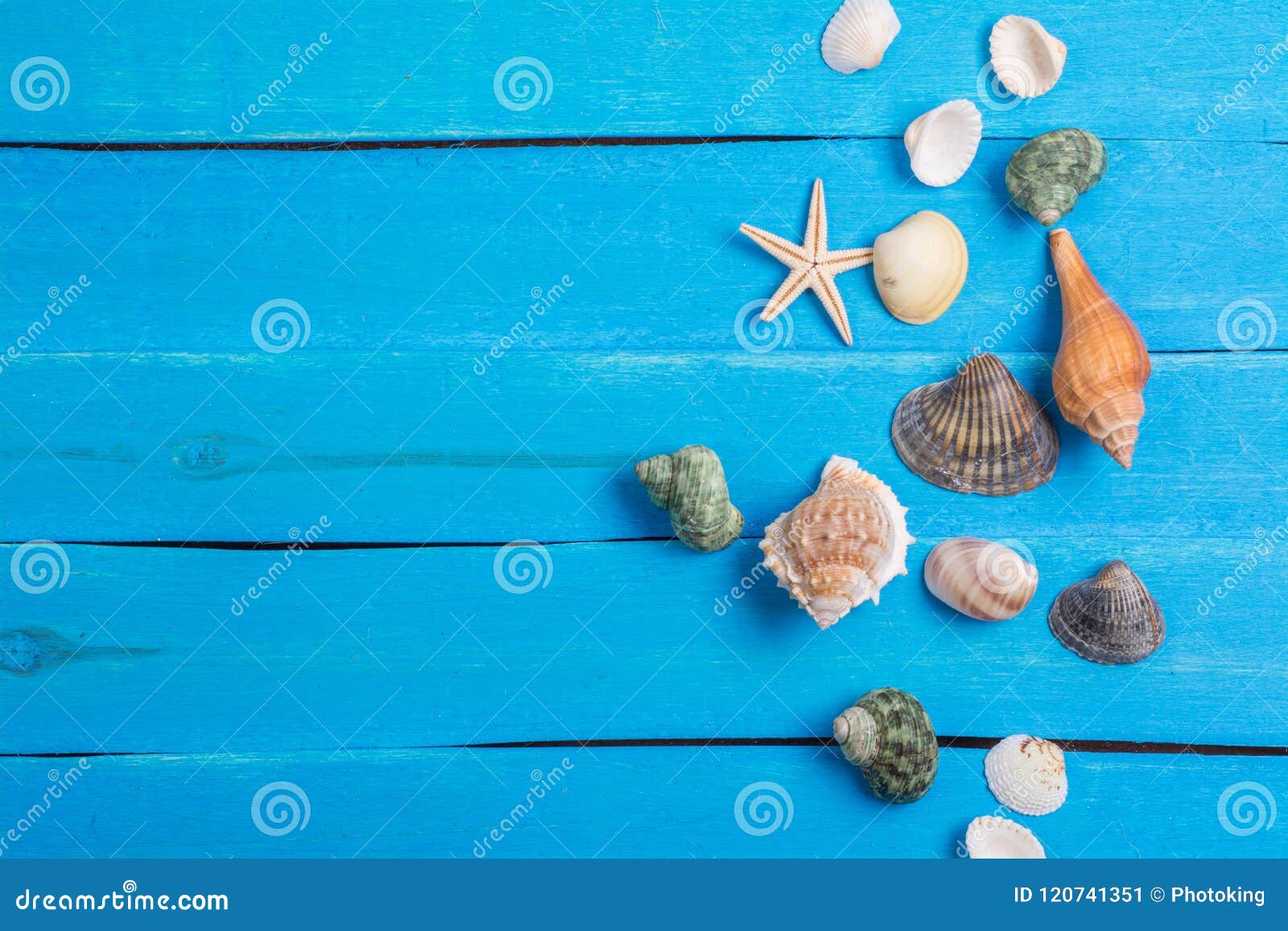 summer setting with few marine items background