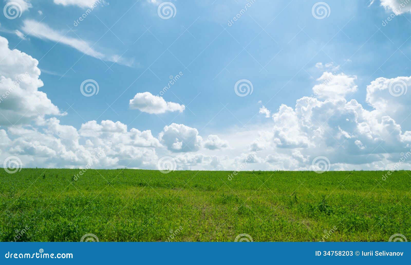 summer shining meadow blue sky fluffy clouds feel real sunlight bright white green 34758203