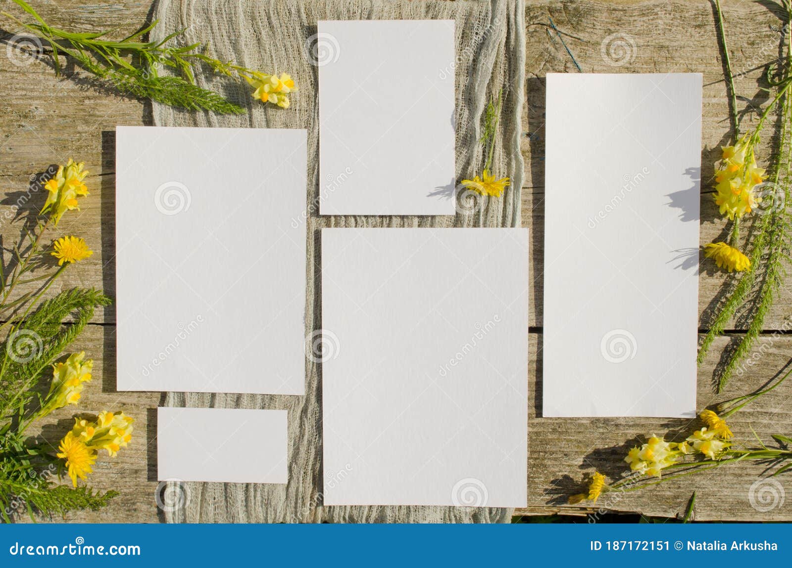 Download Summer Stationery Mockups Set Scene With With Yellow Flowers On A Old Wood Background In Rustic Style And Natural Mockup Card Stock Image Image Of Greeting Light 187172151