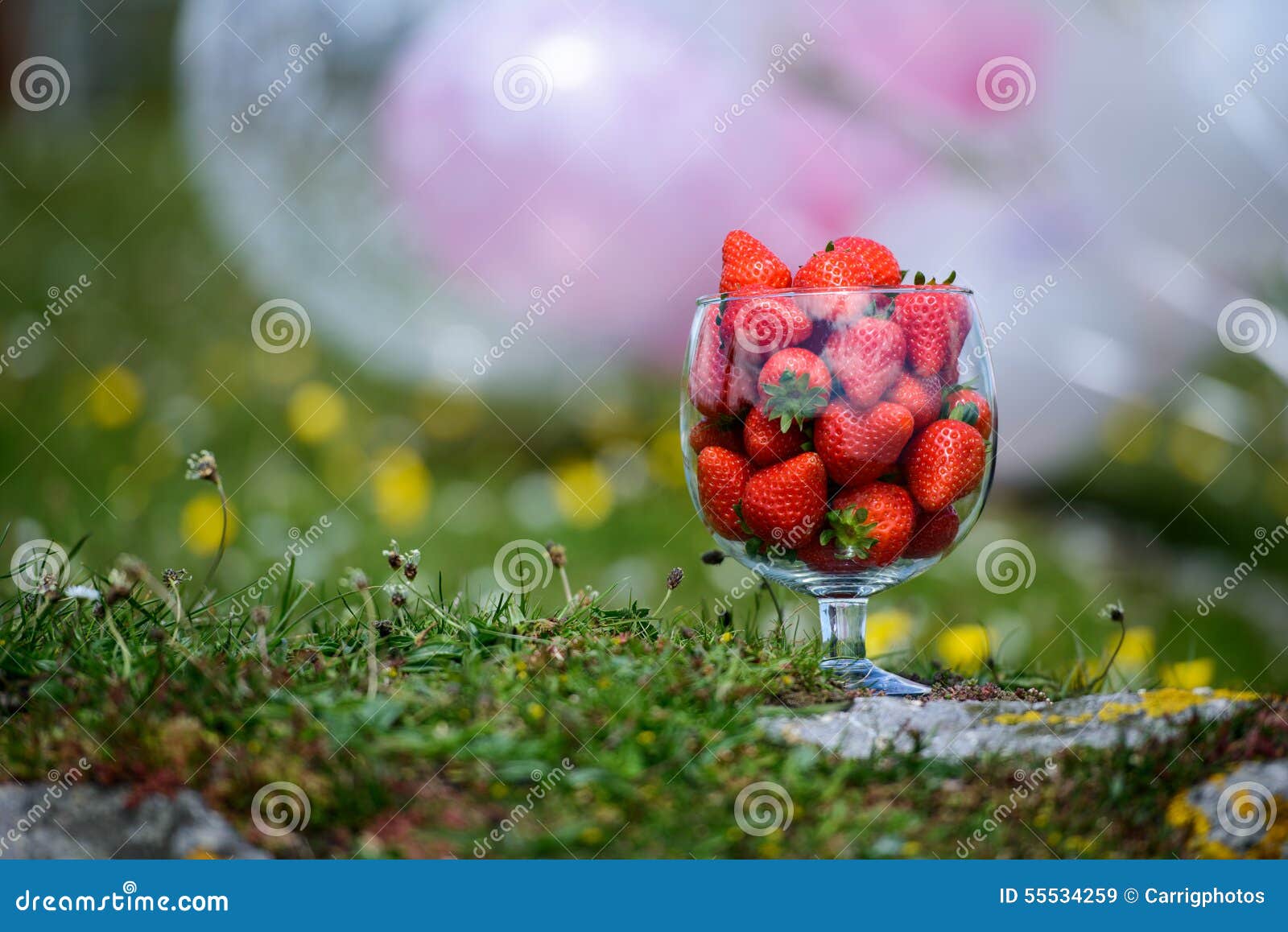 Summer Strawberries stock image. Image of green, grass 55534259