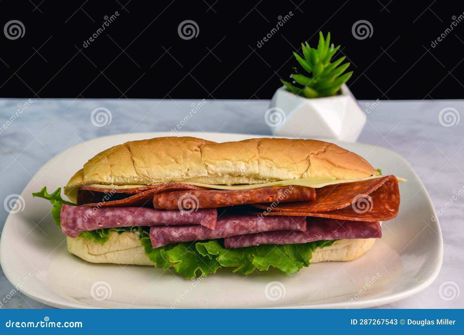 Salami and Pepperoni with Lettuce on a Sub Roll Stock Image Image of