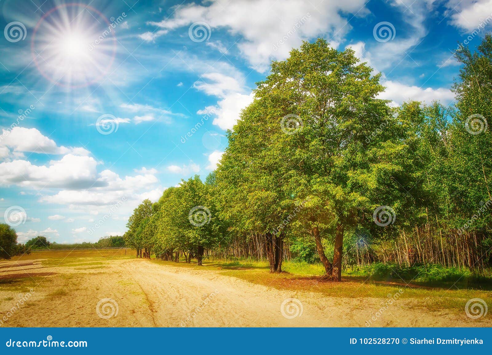 Summer Sunny Day in Green Natural Park with Blue Sky with White Clouds ...