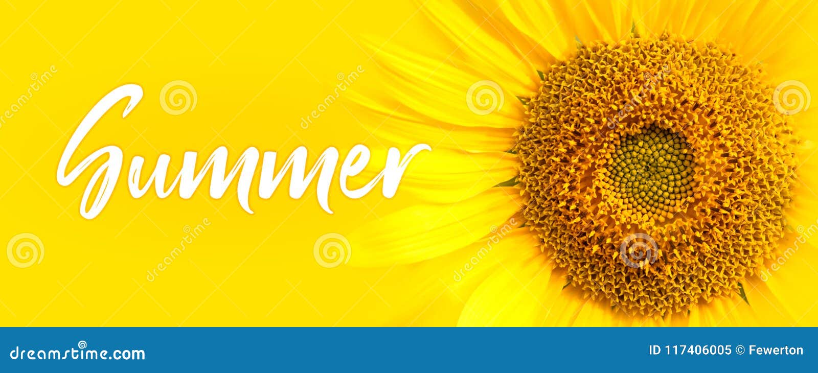 summer text and sunflower close-up details. oncept for summer, sun, sunshine, tropical summer travel and hot days.
