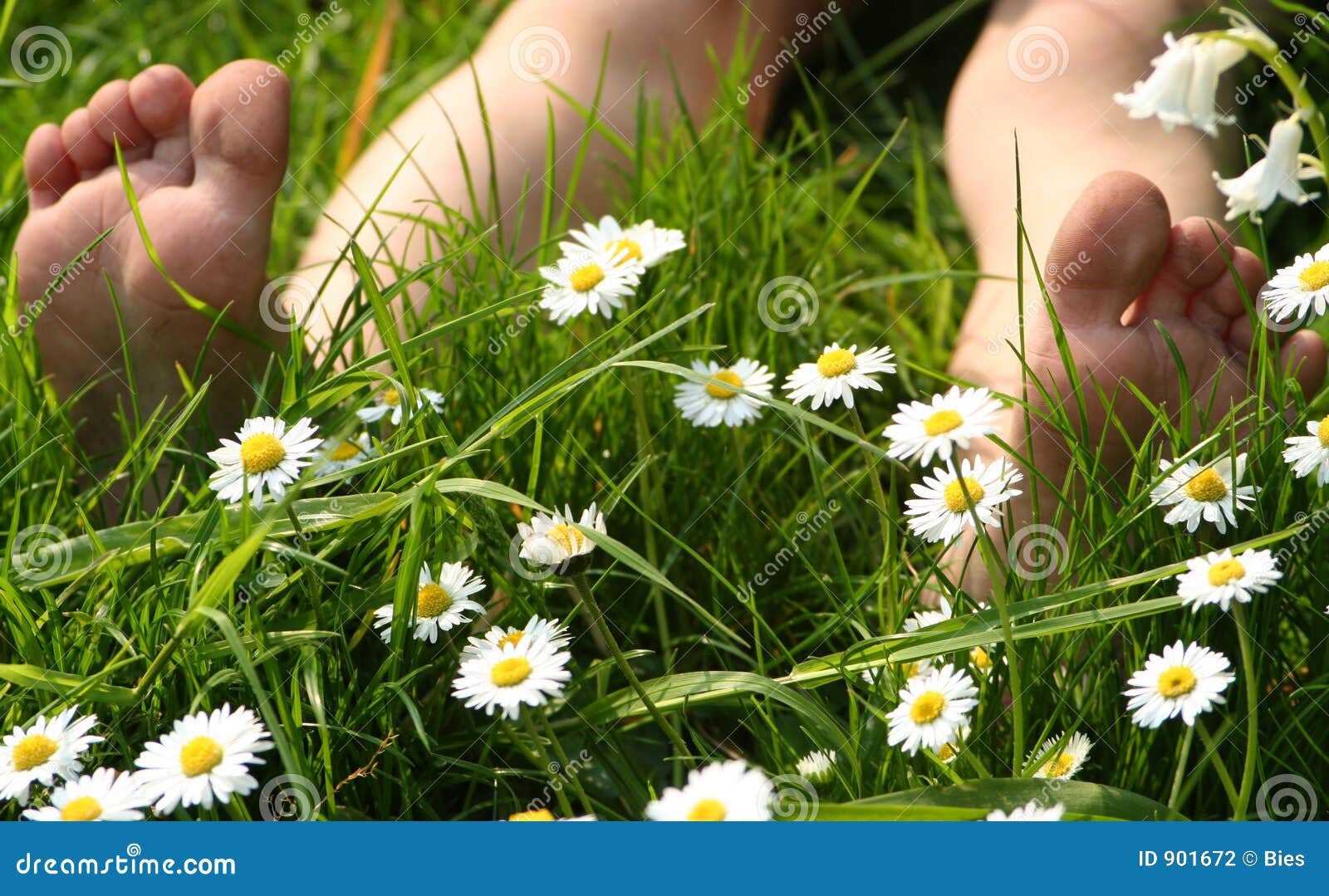 summer toes