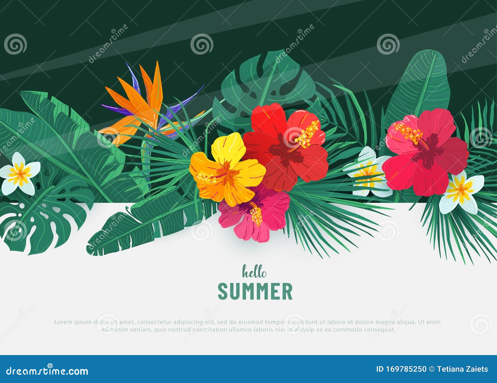 summer tropical  background. flat lay geometric tropic  with exotic hibiscus flower and palm leaves. spring